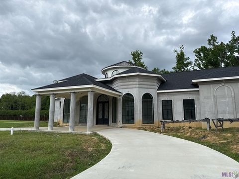 Photo of 10201 Amelia Flower Ln Ln, Baton Rouge, LA 70810 (MLS # BR2026007085)