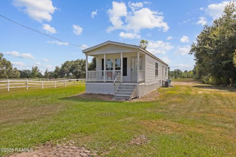 Photo of 7823 Hoover Road, Maurice, LA 70555 (MLS # 2500004165)