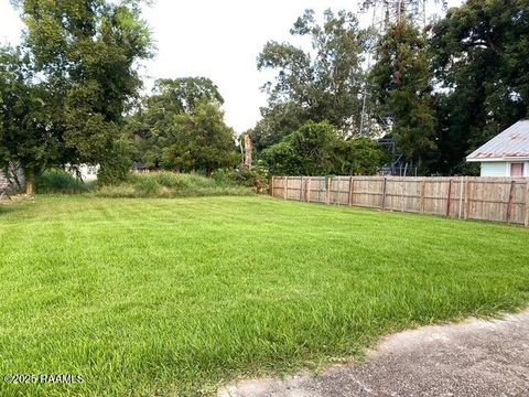 Photo of 503 S Washington Street, Lafayette, LA 70501 (MLS # 2500002972)