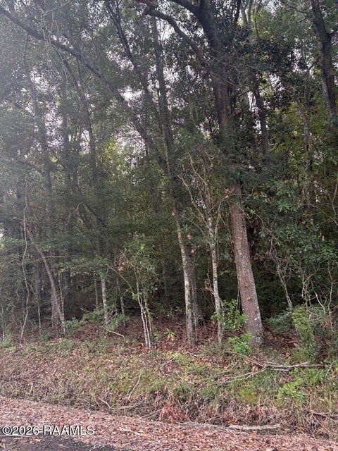 Photo of Tbd N Alcide Circle, Abbeville, LA 70510 (MLS # 2600007860)