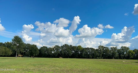 Photo of Tbd Olivier Lane, Arnaudville, LA 70512 (MLS # 2600008392)