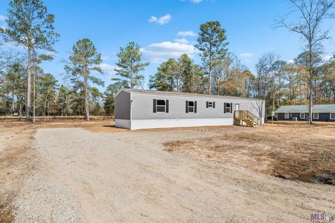 Photo of 30635 Tamjulon Rd, Albany, LA 70711 (MLS # BR2026002186)