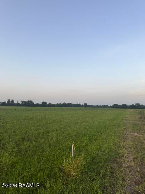 Photo of La-31 #1-A-5-A, Arnaudville, LA 70512 (MLS # 2600006584)