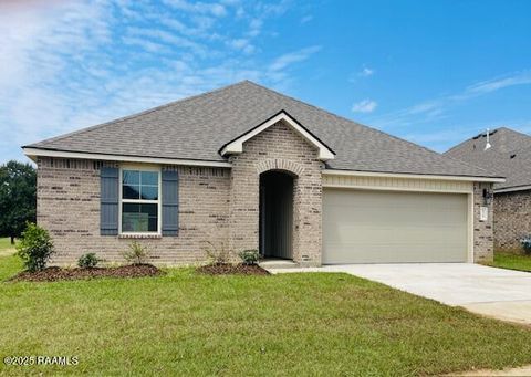 Photo of 110 Broussard Hill Drive, Broussard, LA 70518 (MLS # 2020024291)