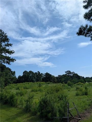 Photo of 81166 Hwy 1083 Highway, Bush, LA 70431 (MLS # NO2568552)