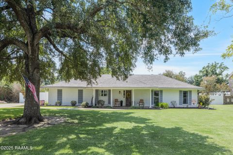 Photo of 121 Bayou Side Drive, Loreauville, LA 70552 (MLS # 2500001927)