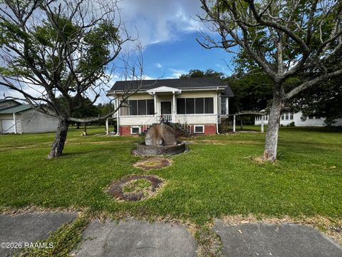 Photo of 117 New Orleans Avenue, Lake Arthur, LA 70549 (MLS # 2600003083)