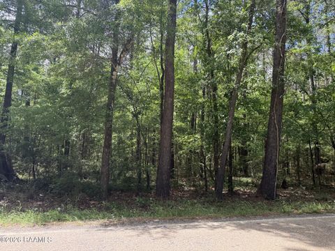 Photo of Tbd Oakdale Tracts 1 & 3 Road, Oakdale, LA 71463 (MLS # 2600002964)