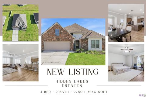 Photo of 14264 Impala Run Ct Ct, Denham Springs, LA 70726 (MLS # BR2026005035)