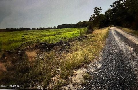 Photo of Lot 11 Teche Lake Canal Road, New Iberia, LA 70563 (MLS # 2500006375)