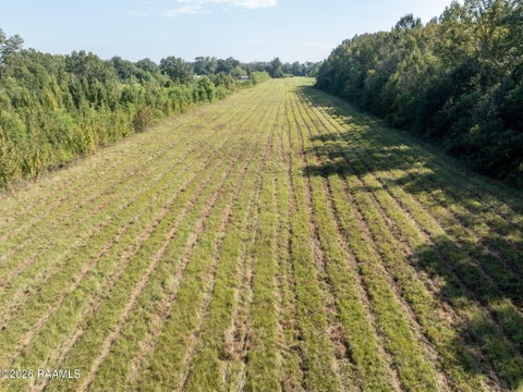 Photo of 2000 Blk Louisiana 31 Highway, Cecilia, LA 70521 (MLS # 2600009165)
