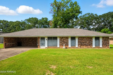 Photo of 100 Dahalia Street, Lafayette, LA 70507 (MLS # 2500003206)