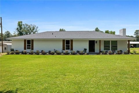Photo of 16658 Highway 40 Other, Independence, LA 70443 (MLS # NO2542972)
