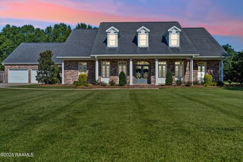 Photo of 1002 Spanish Moss Drive, Breaux Bridge, LA 70517 (MLS # 2500004612)