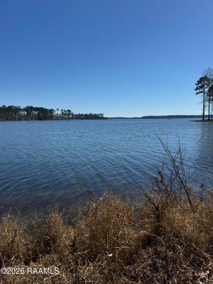 RAMSEY RD, CHATHAM, LA 71226 - Image f978da357c4aec8615d9d2beac4ce4fa/1175989799