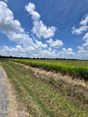 ADDRESS PRIVATE, CHURCH POINT, LA 70525 - Image fa1dd2a6f1d7ec302f14256f88cbcf1b/2367419203