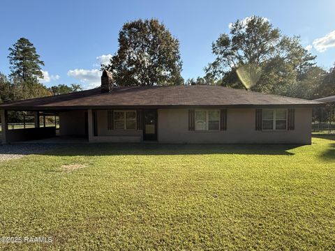 Photo of 5925 Crooked Creek Parkway, Ville Platte, LA 70586 (MLS # 2500005720)