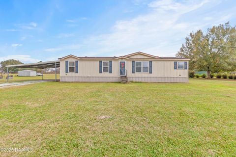 Photo of 5205 Loy Road, Maurice, LA 70555 (MLS # 2500006537)