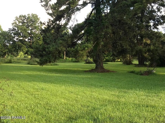 0 WILSON ST JULIAN ROAD, CADE, LA 70519 - Image fd04dbd57706d0682f1bf58ebbdf7e47/807687185