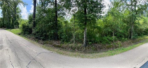 Photo of S Cafe Line Road, Albany, LA 70711 (MLS # NO2563835)