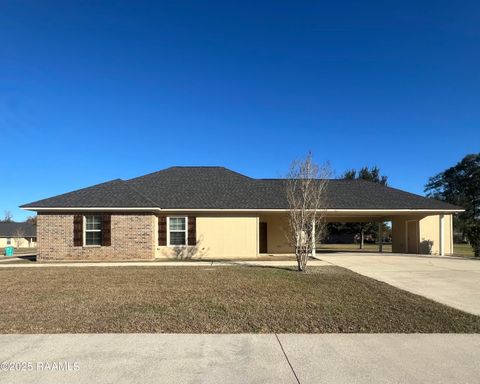 Photo of 163 Willard Lane, Opelousas, LA 70570 (MLS # 2500006333)