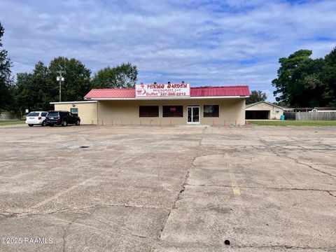 Photo of 2313 E Main Street, Ville Platte, LA 70586 (MLS # 2500005316)