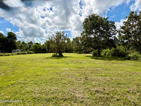 Photo of Genest Road, Jeanerette, LA 70544 (MLS # 2600008622)