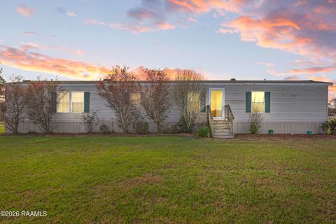 Photo of 317 Ira Street, Carencro, LA 70520 (MLS # 2500007046)