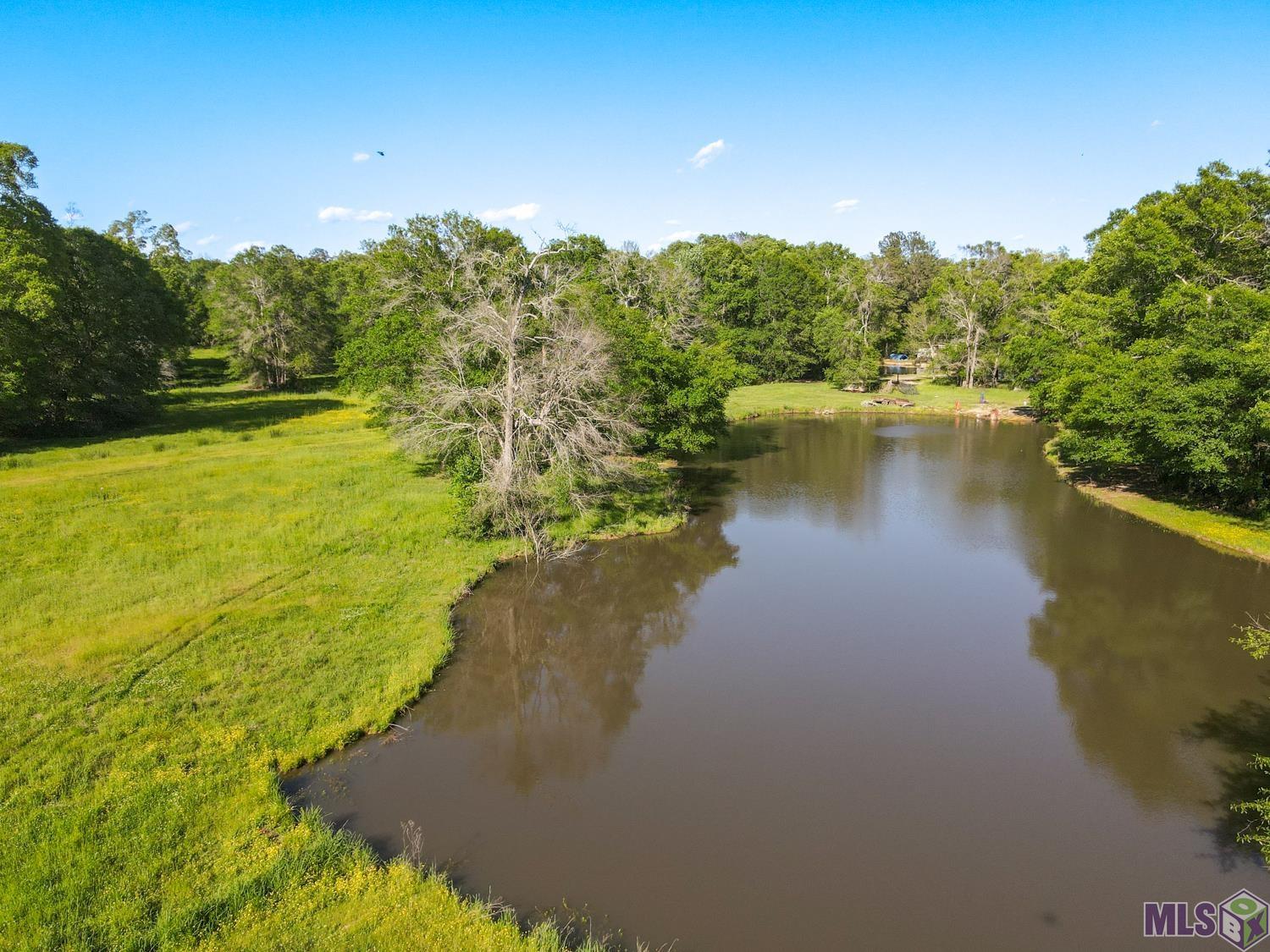 Greenwell Springs-port Hudson Rd, Pride, Louisiana image 5