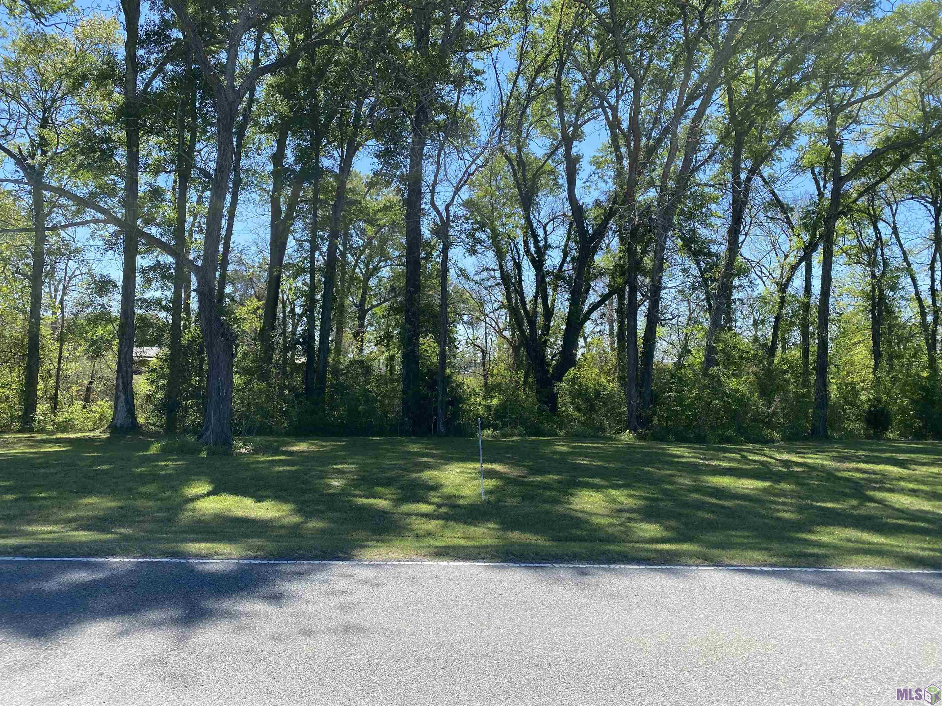 LOT 12A La Hwy 411, Maringouin, Louisiana image 3