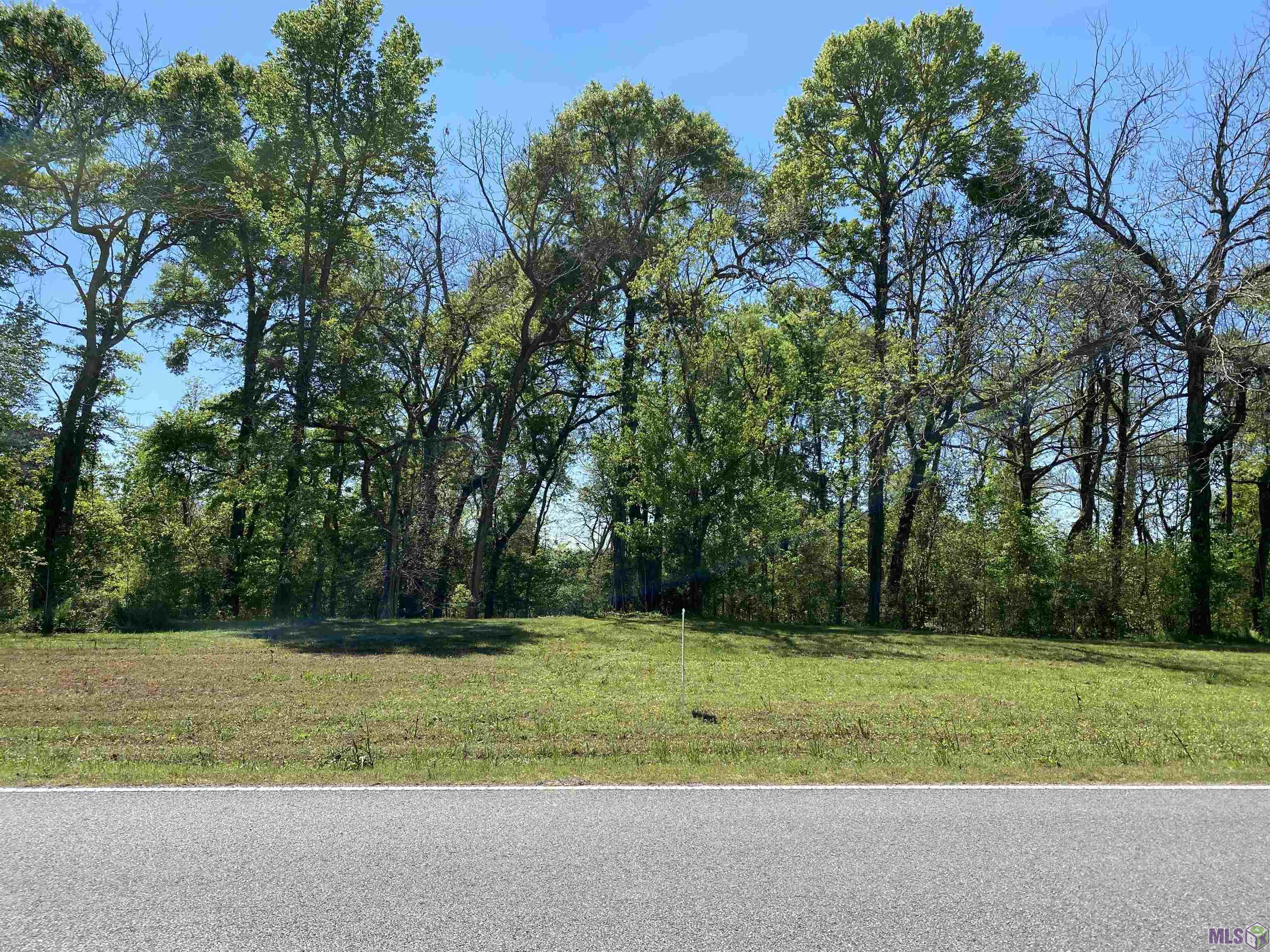 LOT 12A La Hwy 411, Maringouin, Louisiana image 1