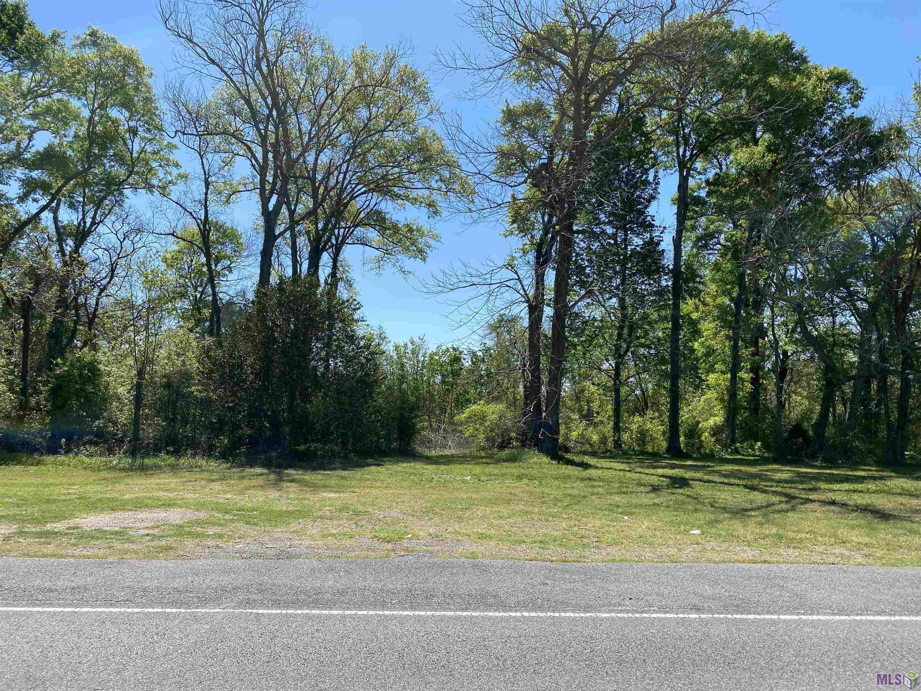 LOT 12A La Hwy 411, Maringouin, Louisiana image 2