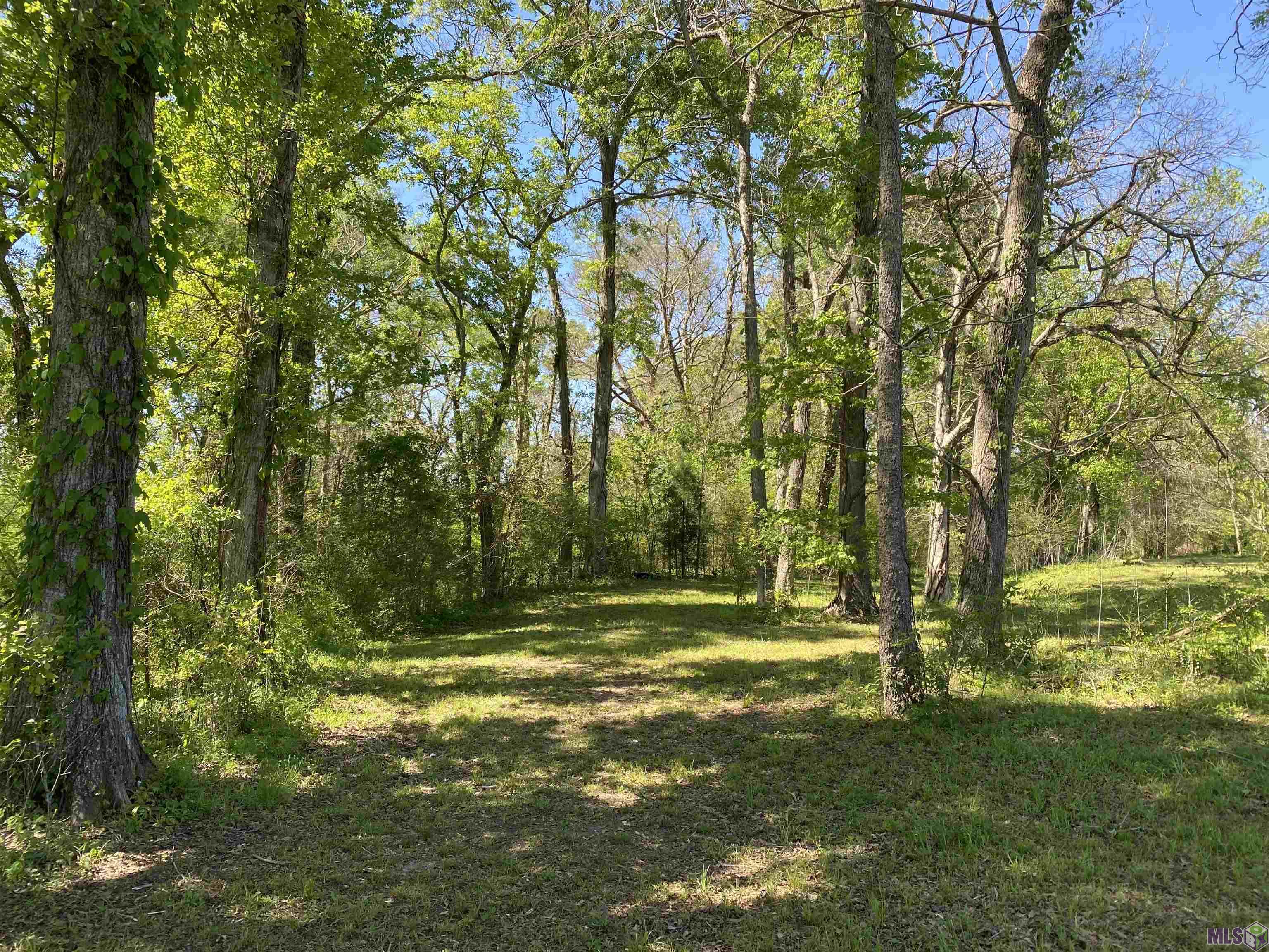 LOT 12A La Hwy 411, Maringouin, Louisiana image 4