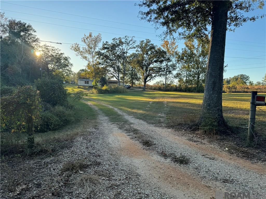 65721 Wilcox Road, Kentwood, Louisiana image 1