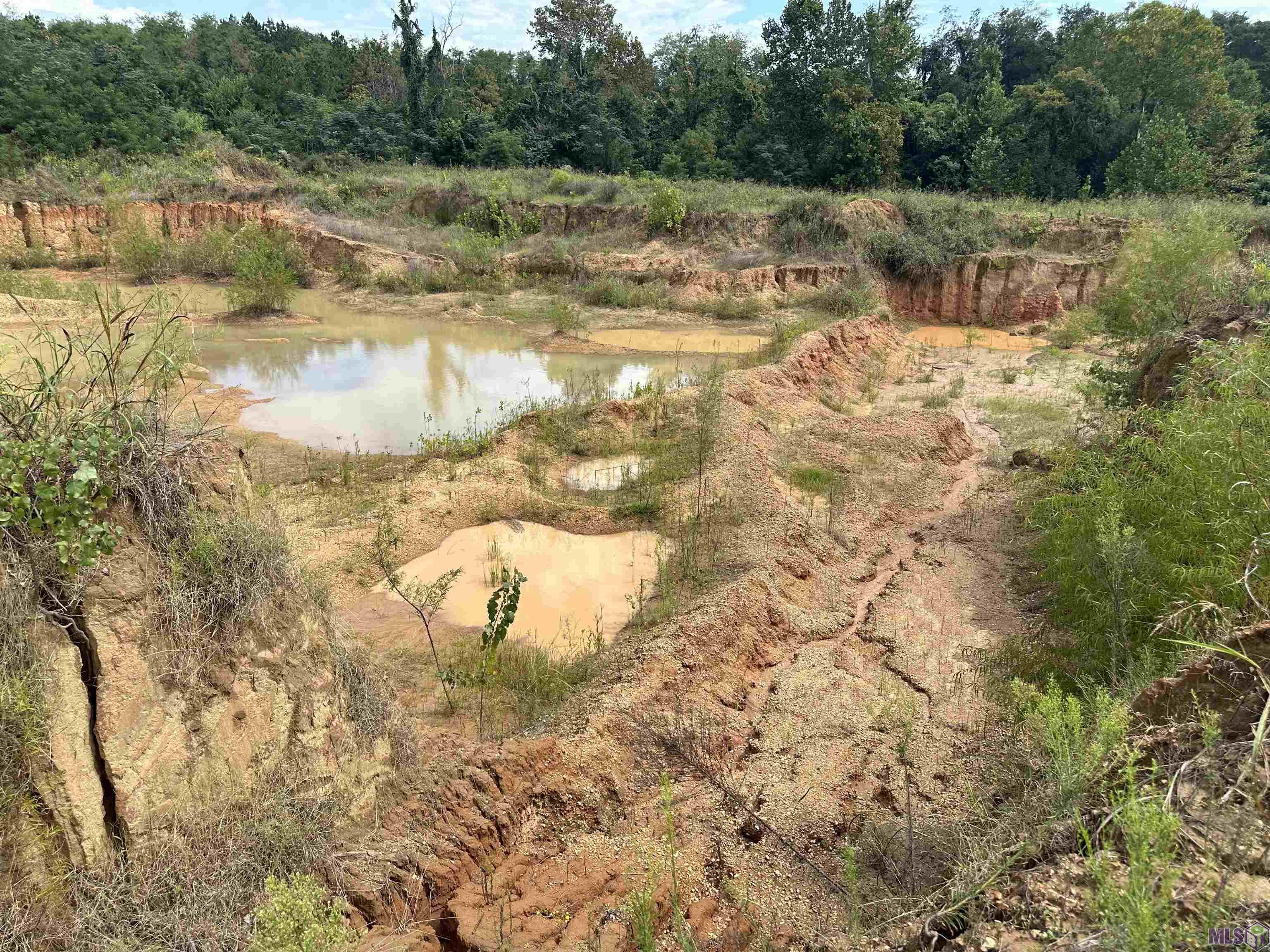 Hwy 84, Natchez, Mississippi image 7