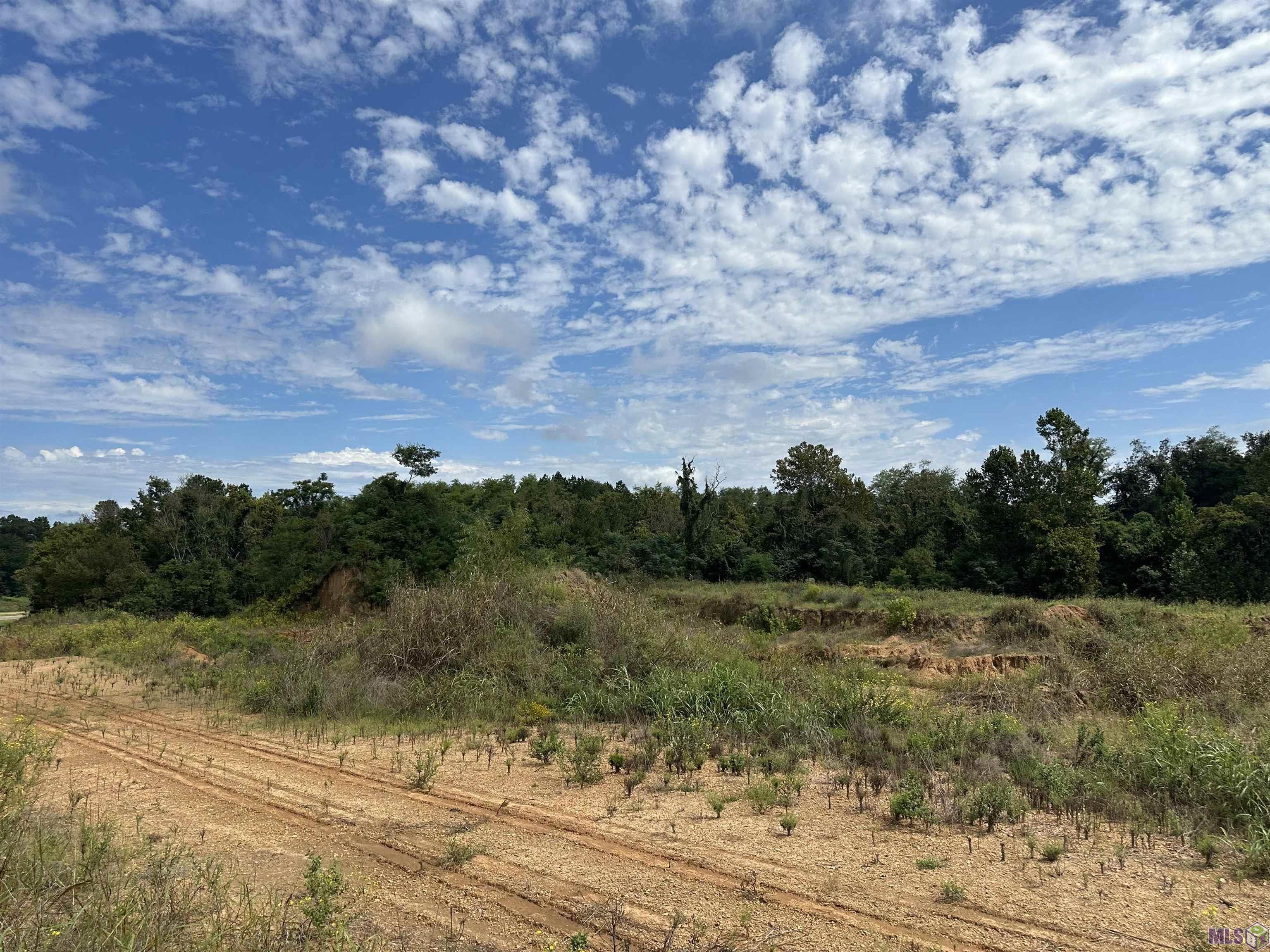 Hwy 84, Natchez, Mississippi image 1