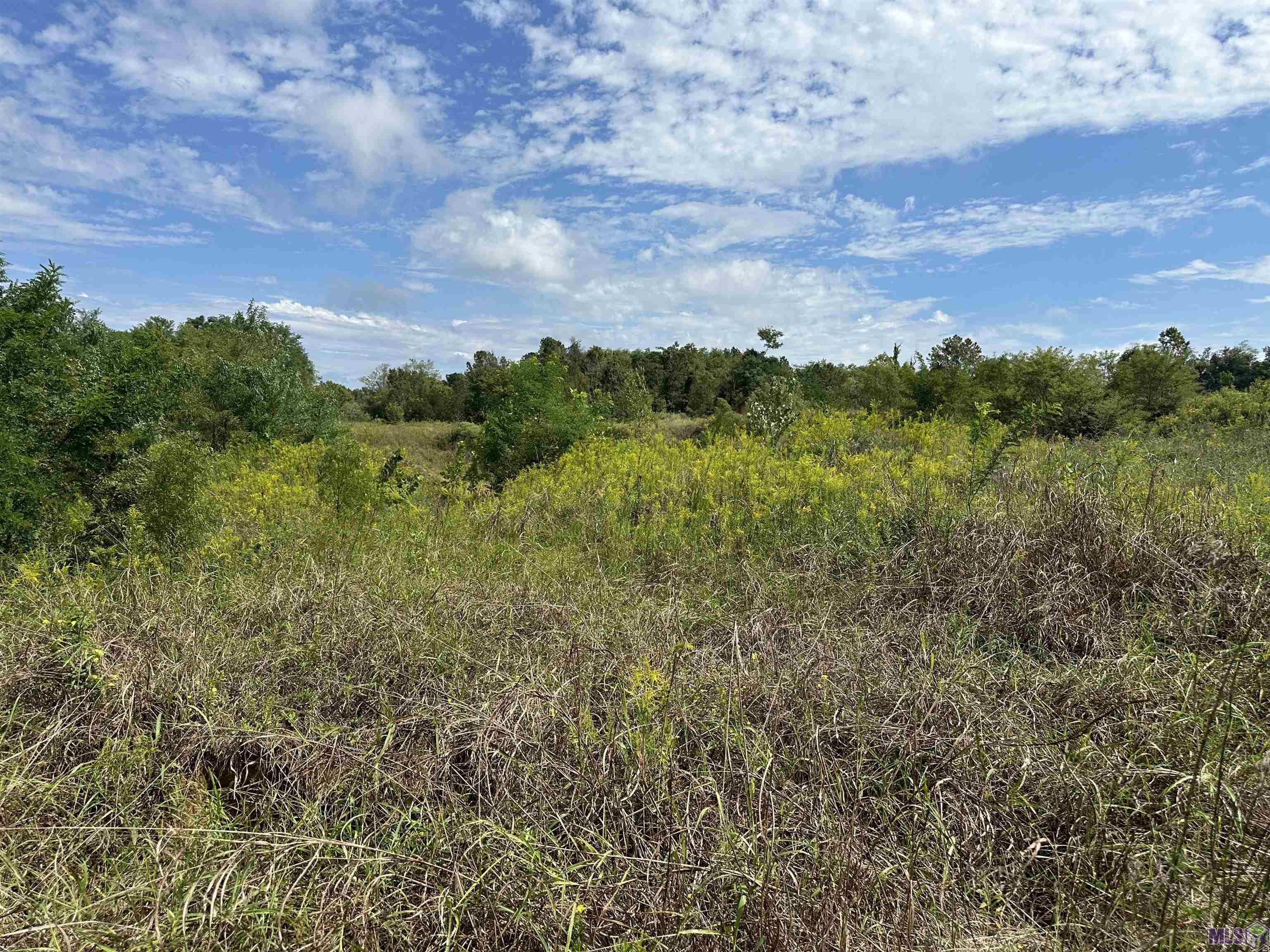 Hwy 84, Natchez, Mississippi image 6