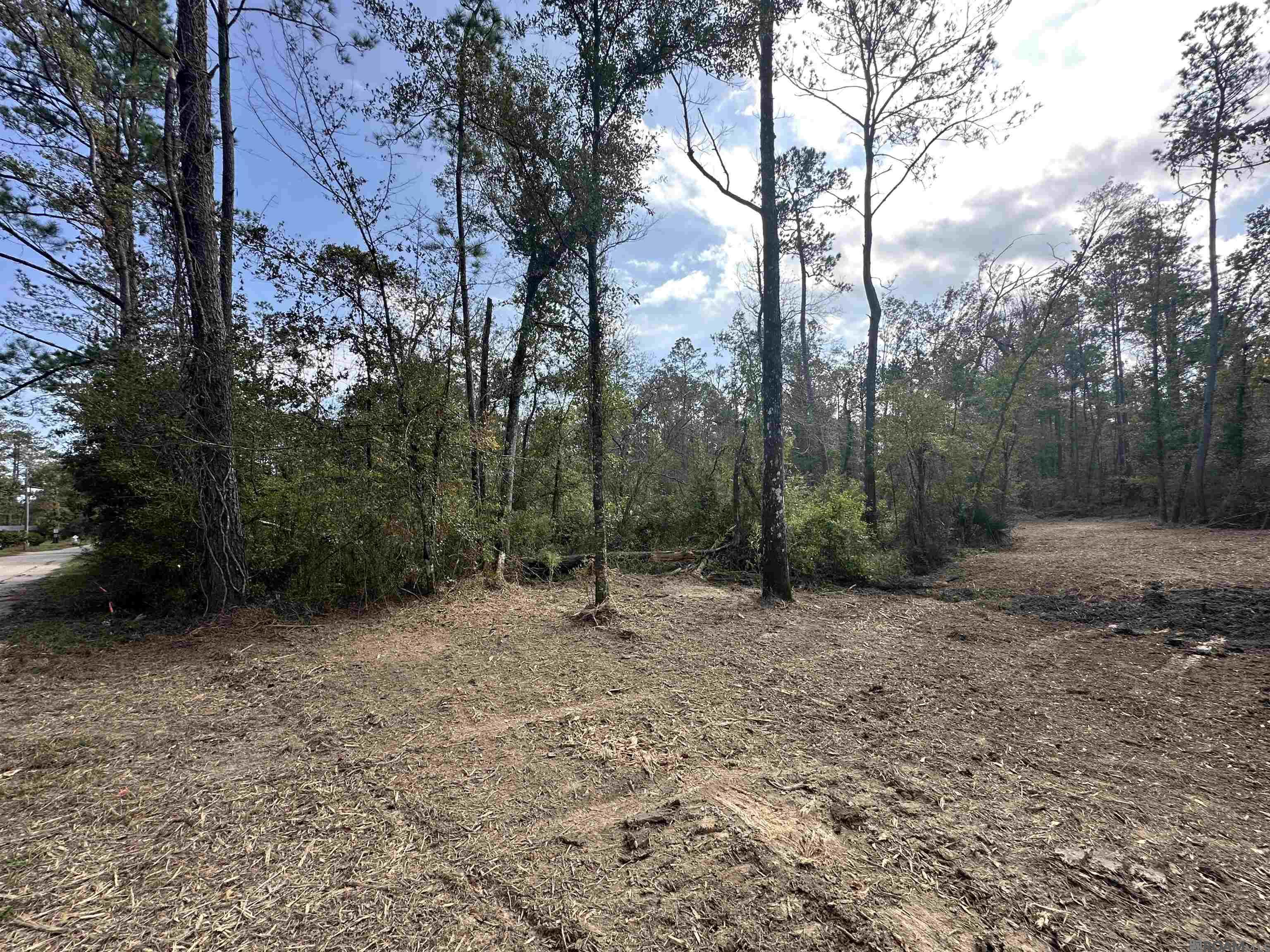 5.12 Acres White Oak Ln, Springfield, Louisiana image 18