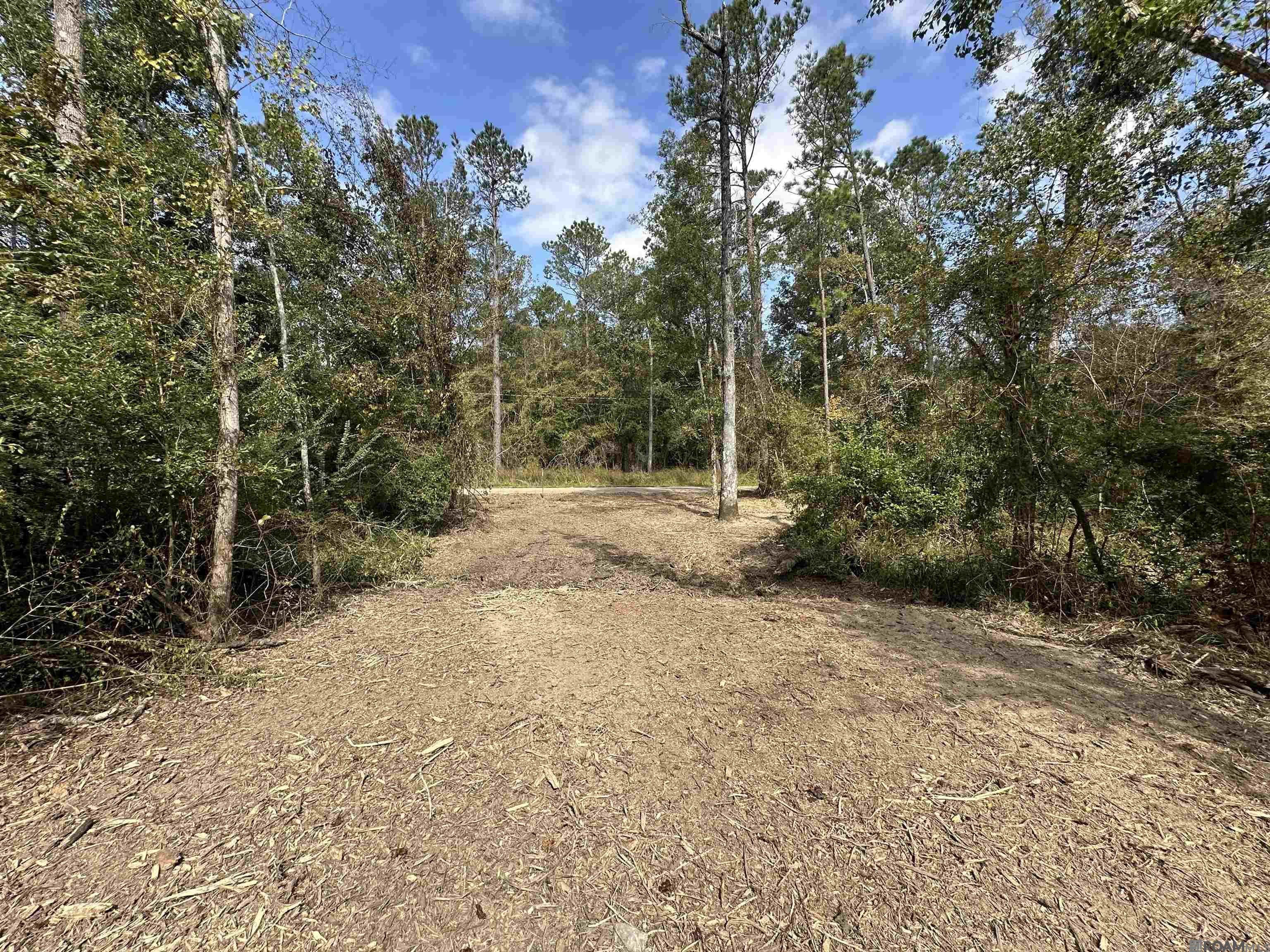 5.12 Acres White Oak Ln, Springfield, Louisiana image 2