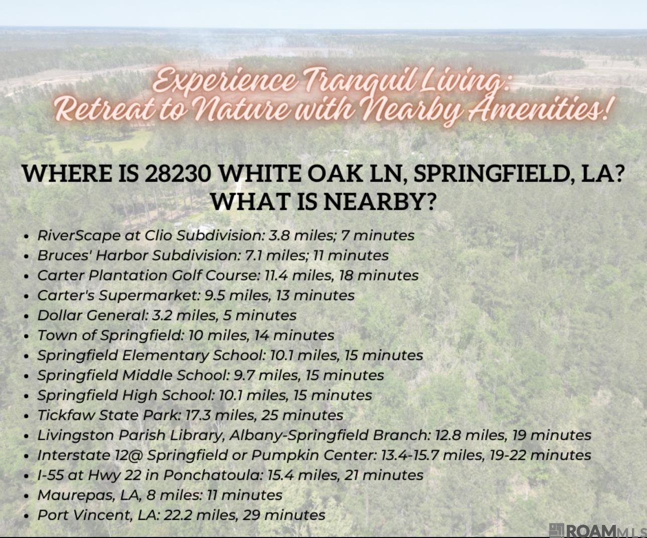 5.12 Acres White Oak Ln, Springfield, Louisiana image 14