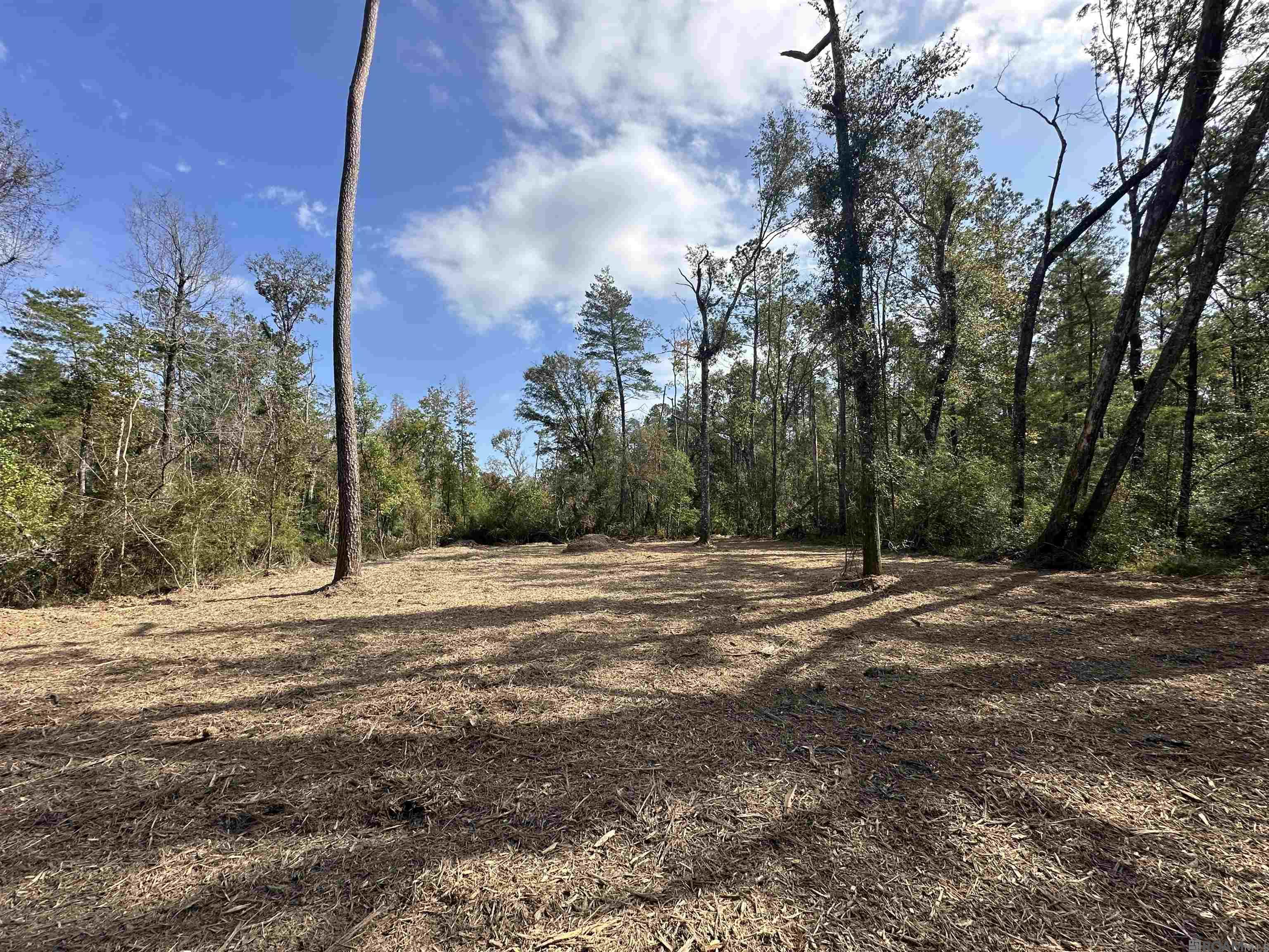 5.12 Acres White Oak Ln, Springfield, Louisiana image 10