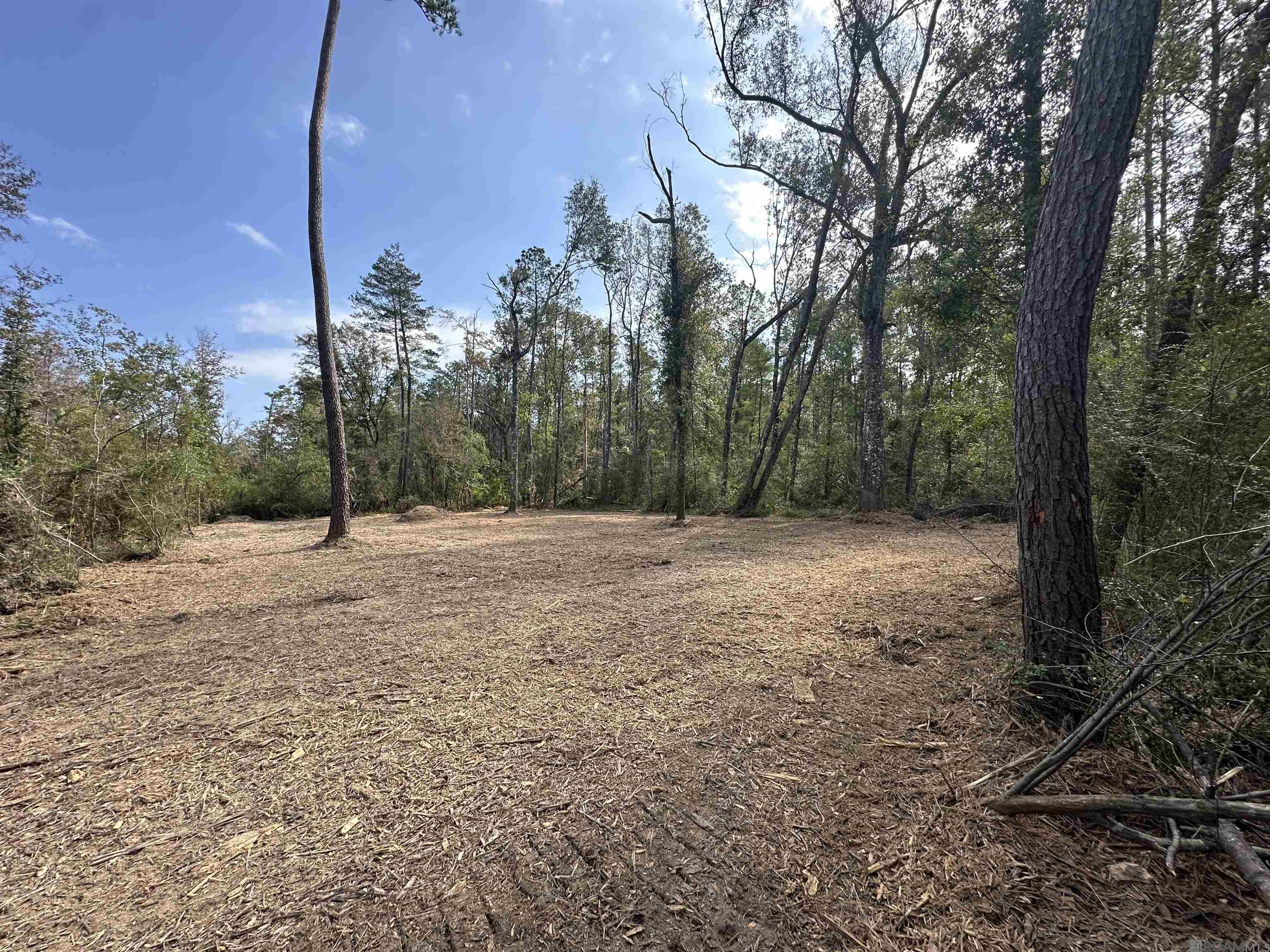 5.12 Acres White Oak Ln, Springfield, Louisiana image 1