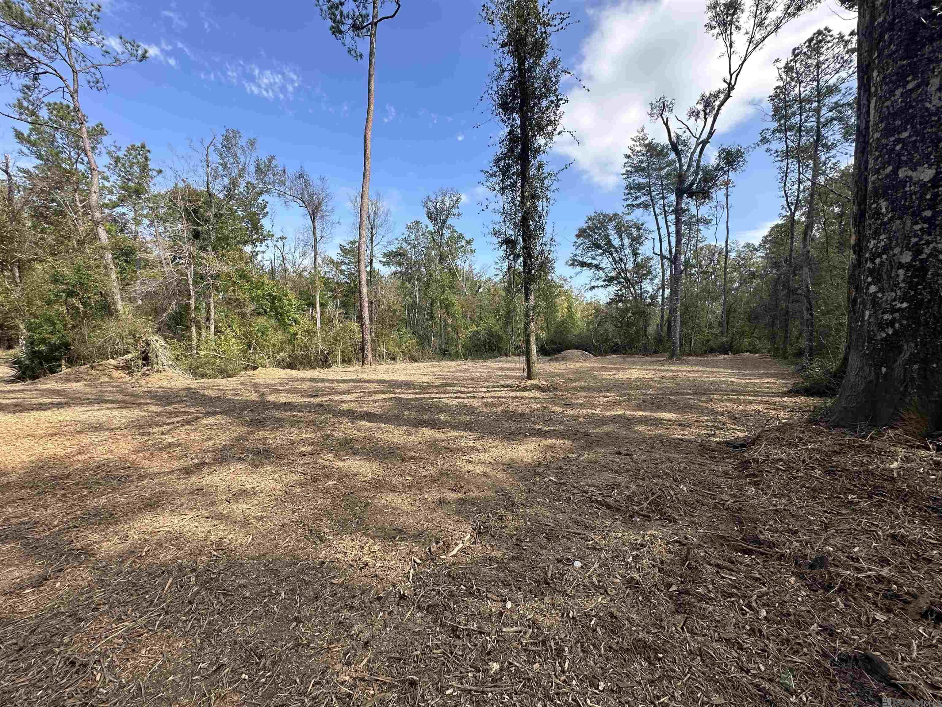 5.12 Acres White Oak Ln, Springfield, Louisiana image 6