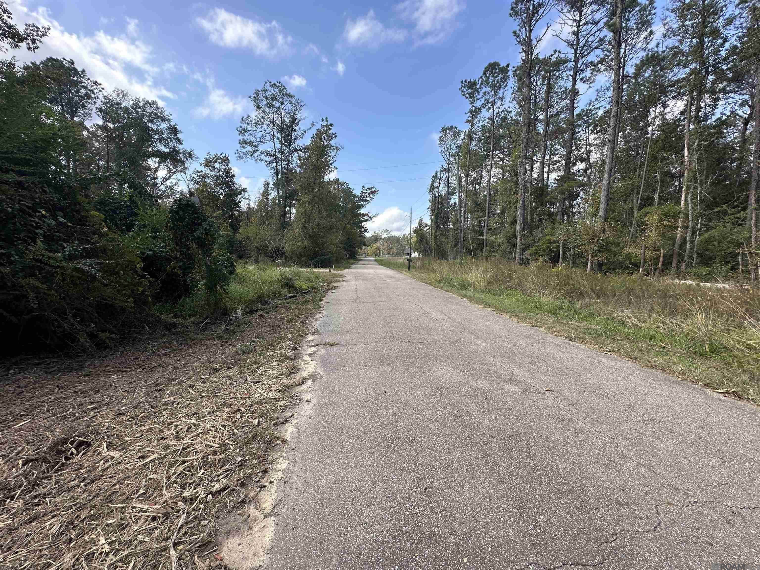 5.12 Acres White Oak Ln, Springfield, Louisiana image 3