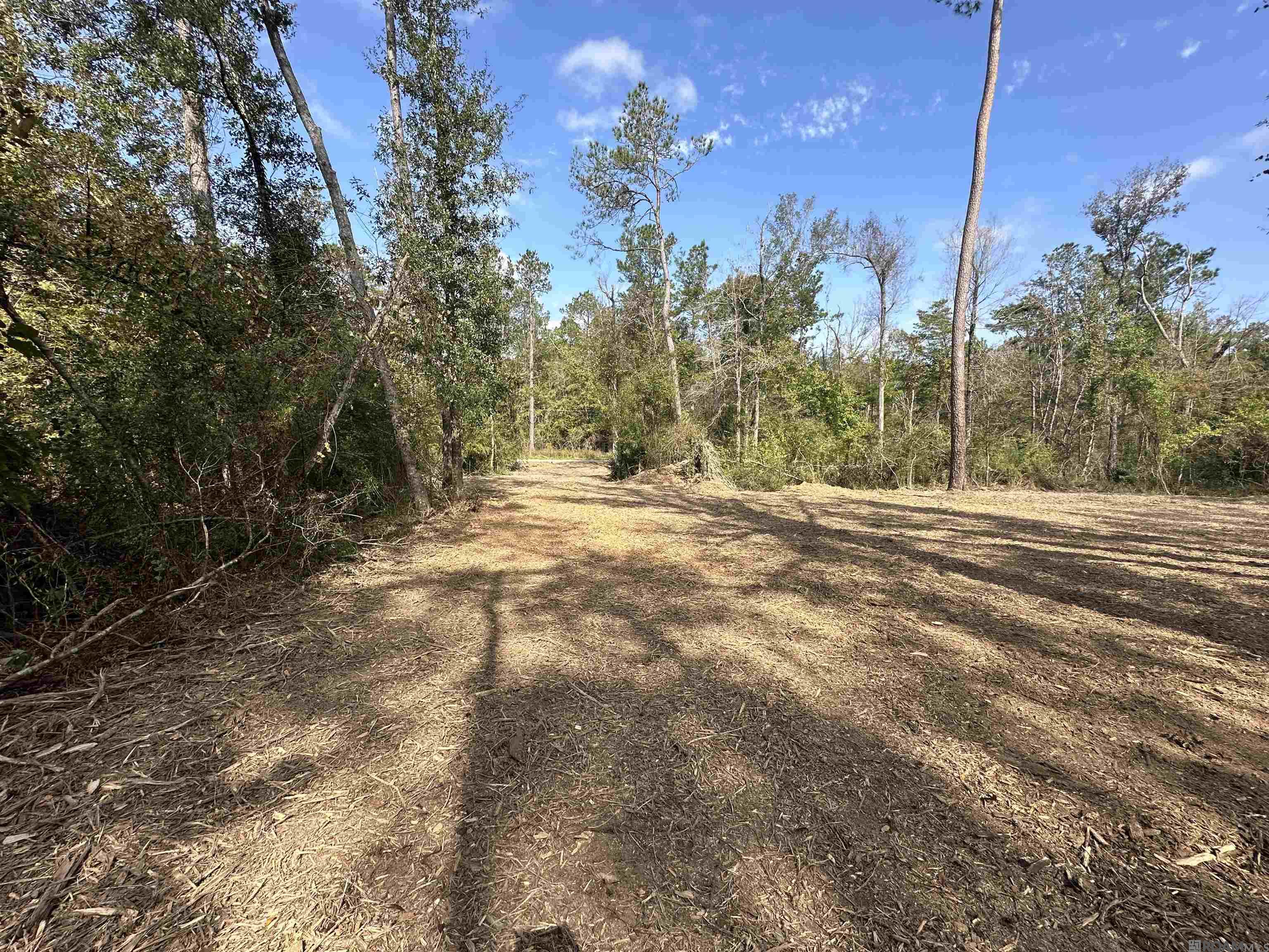 5.12 Acres White Oak Ln, Springfield, Louisiana image 8