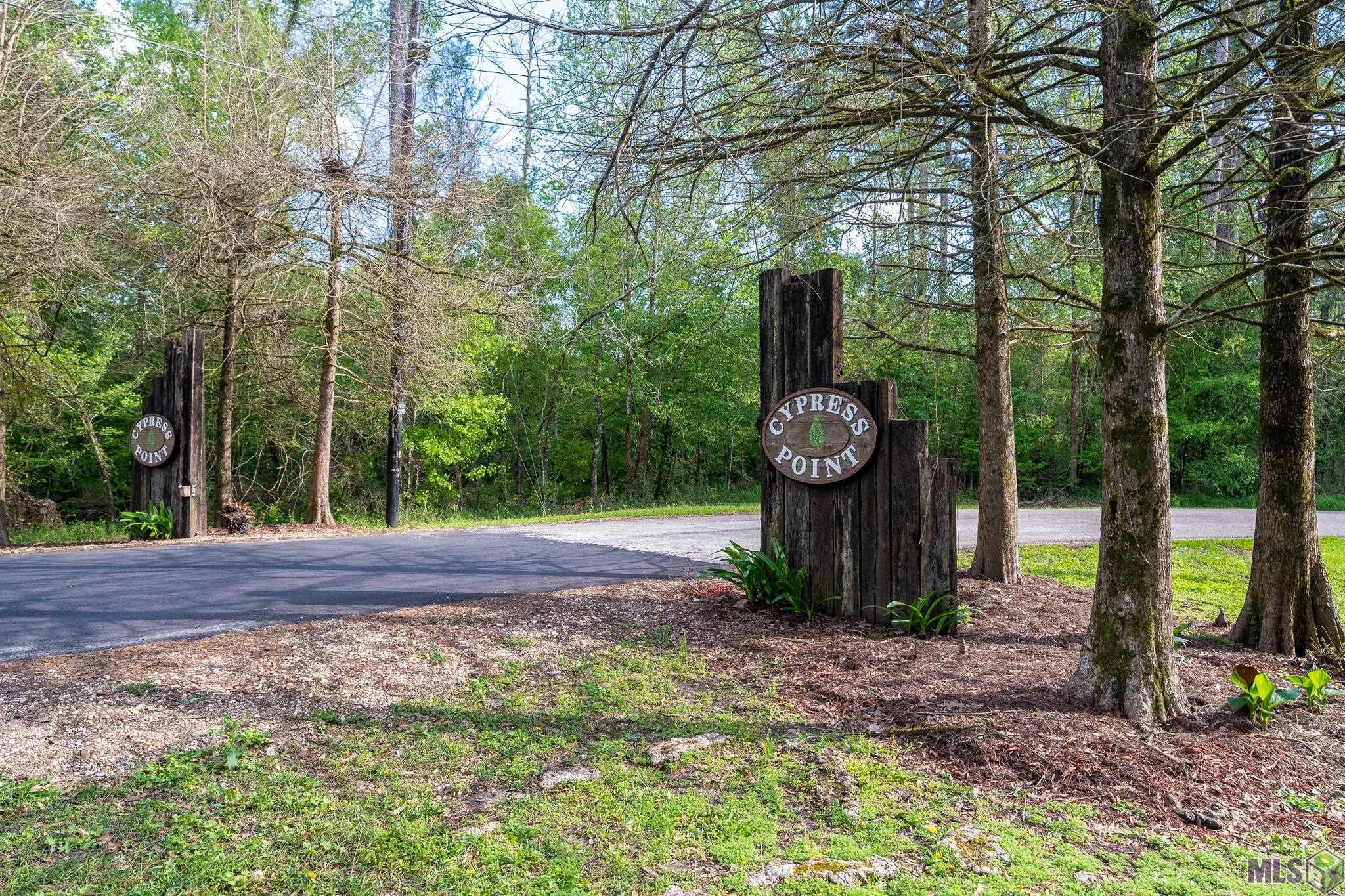 15781 Cypress Point Ln, French Settlement, Louisiana image 9