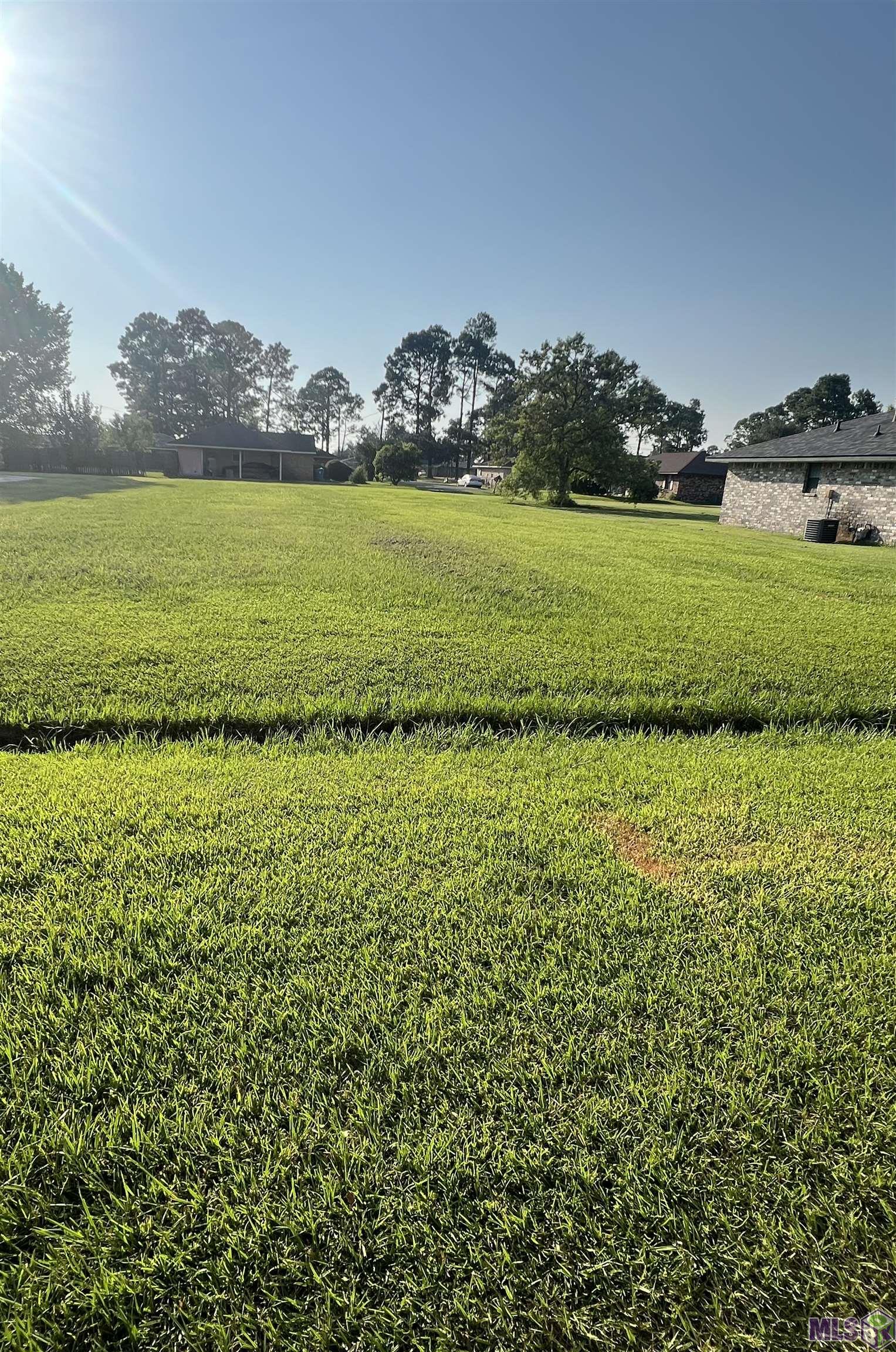 America St, Donaldsonville, Louisiana image 3