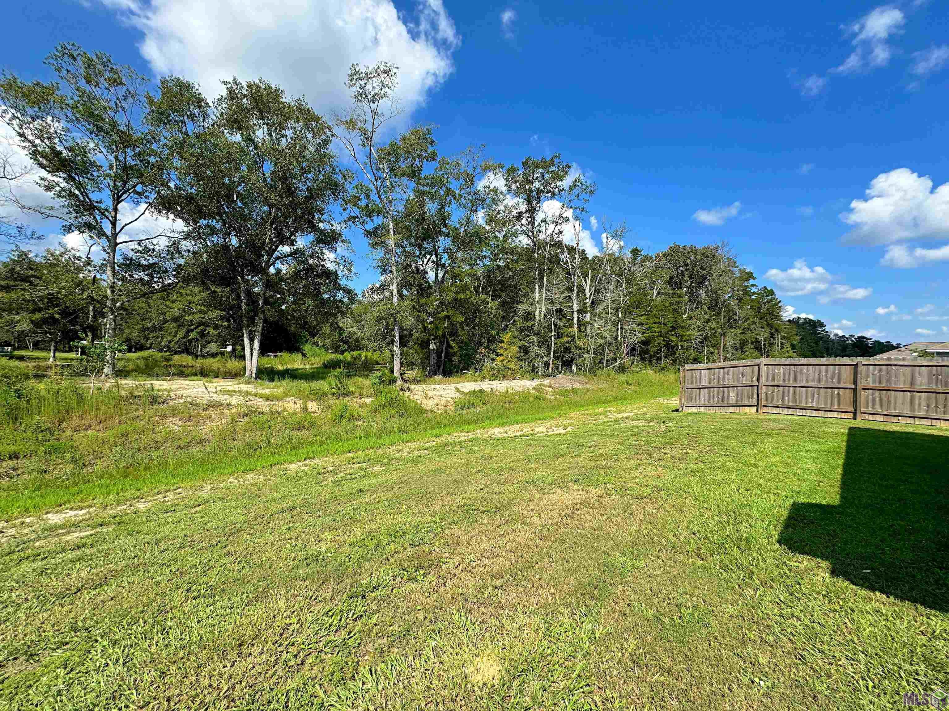 33383 Hyacinth St, Walker, Louisiana image 3