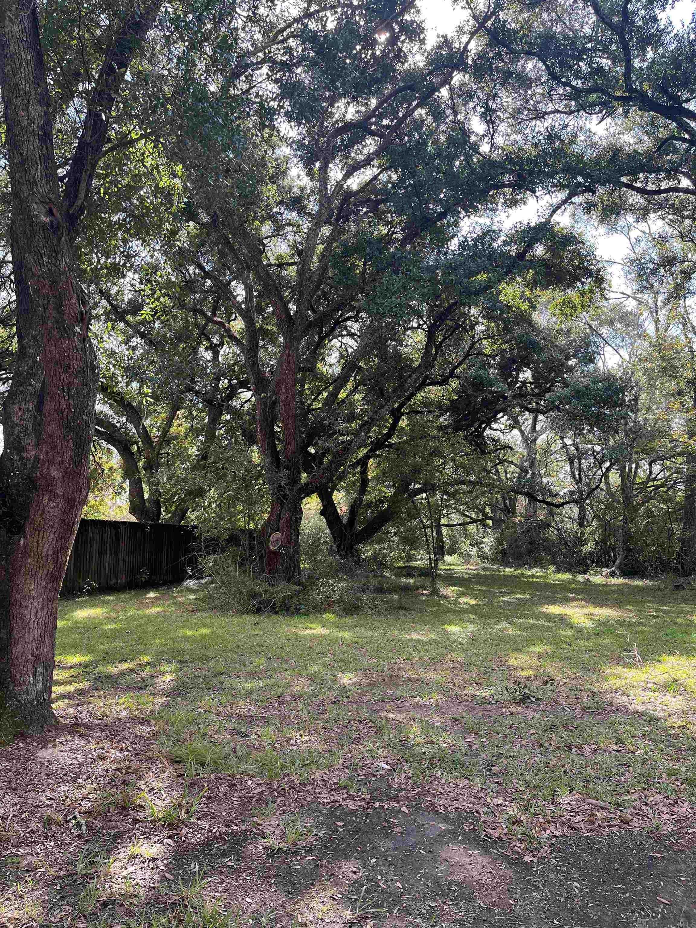 7425 Sullivan Rd, Greenwell Springs, Louisiana image 3