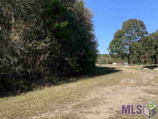 13510 Arnold Rd, Walker, Louisiana image 3